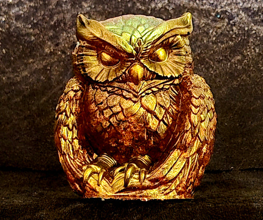π¦ Wise Guardian Owl