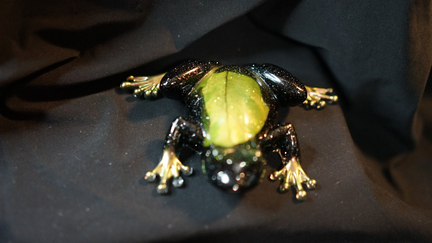 Shimmering Frog 🐸✨