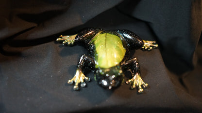 Shimmering Frog 🐸✨