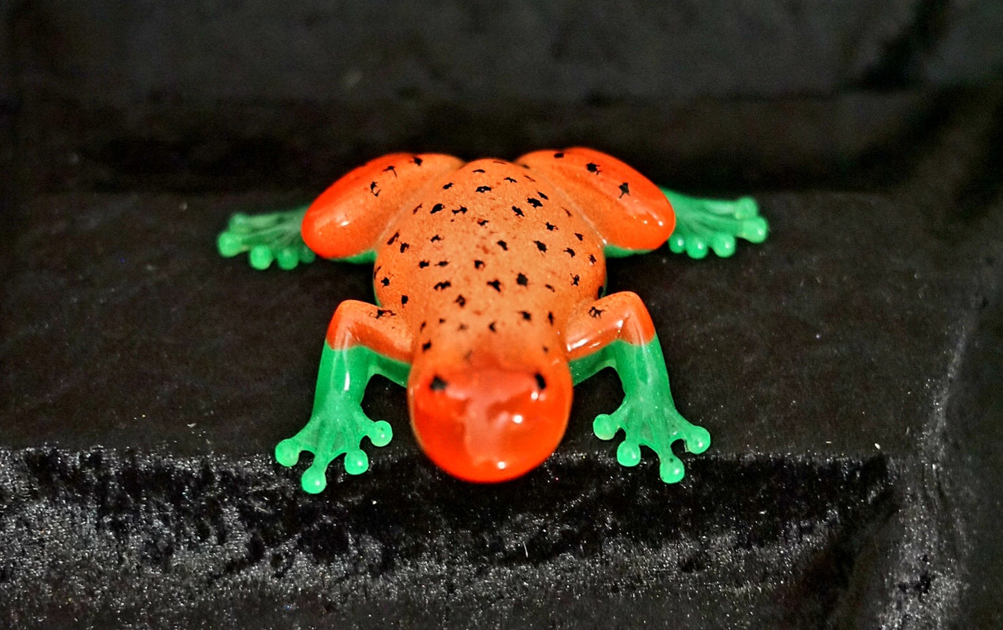 Shimmering Frog 🐸✨