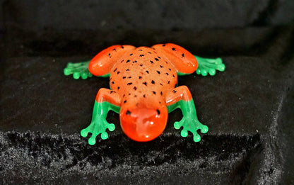 Shimmering Frog 🐸✨