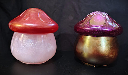 🍄 Mushy Jars 🍄